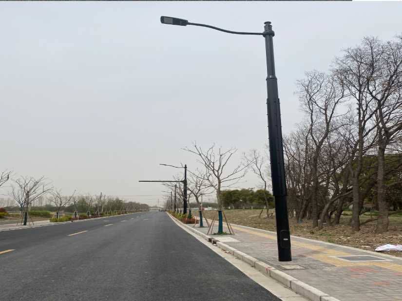 龙华区上海综合杆 太阳能路灯工程